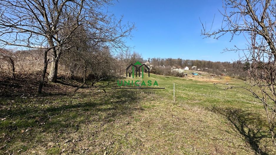 Teren Govora / 8131mp - Poză 2