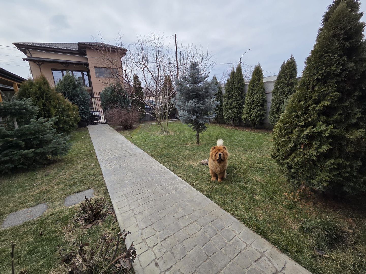 Casă unicat, stil american, 4 camere, garaj, teren 450 mp – Tunari - Poză 3