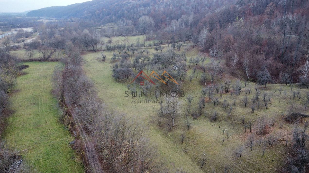 Teren 36000 m2, intravilan+partial extravilan, cadastru, Draganeasa PH - Poză 2