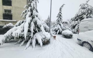 Apartament modern cu 3 camere | Natura Residence | Pipera - Poză 16