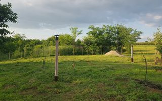 SAPIENT/TEREN INTRAVILAN 600 MP CU ANEXE ȘI PIVNITE - EPISCOPIA - Poză 11