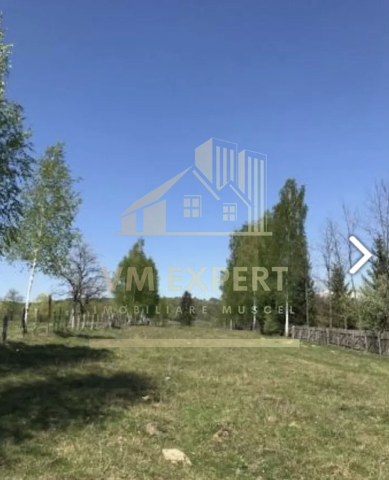 TEREN INTRAVILAN 3000 MP, GRUI, CAMPULUNG - Poză 2