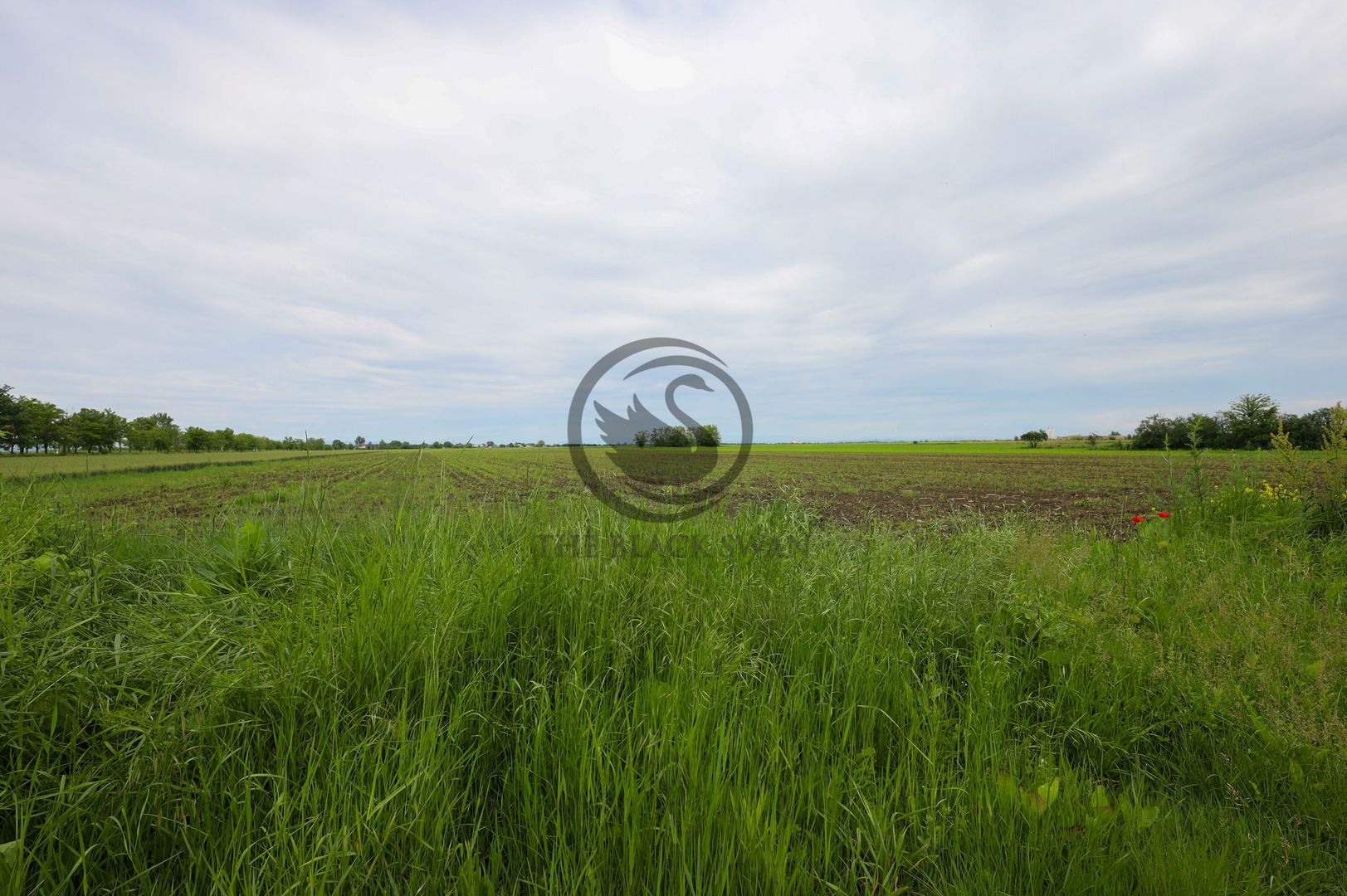 Teren de vanzare in Manesti, Prahova | 18.000 mp | Deschidere 60 ml - Poză 1
