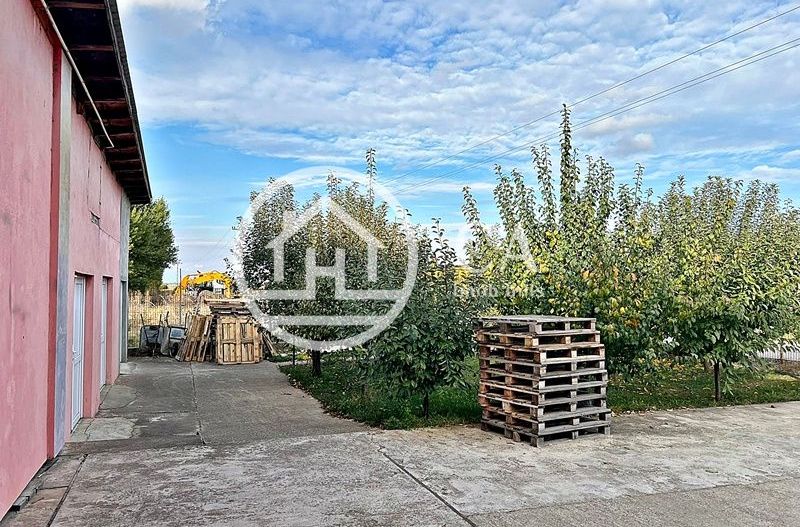 Hală de vânzare în zona industriala Santion, Bihor - Poză 13