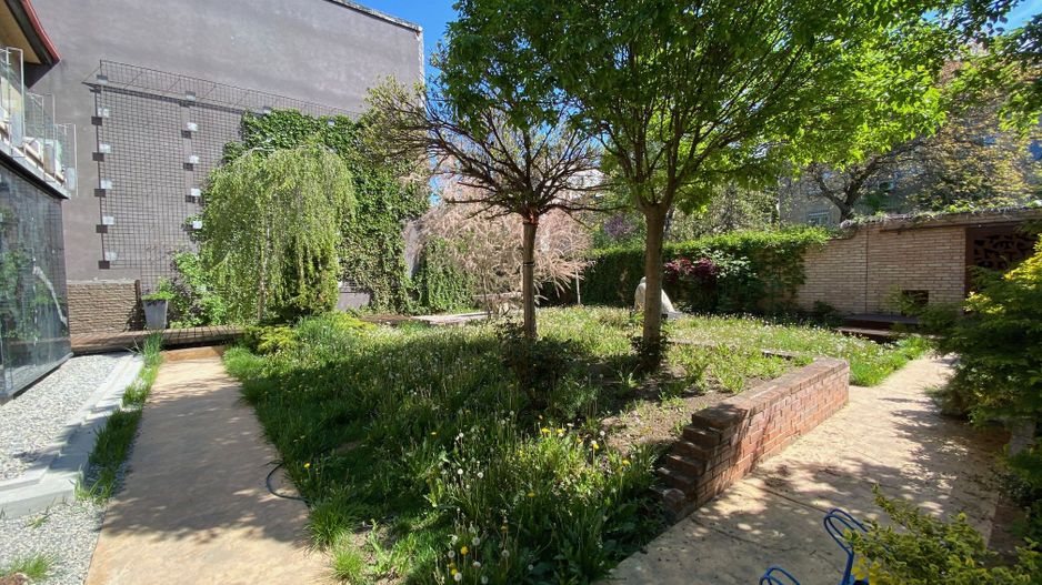 Zona Centrala  - - Poză 34