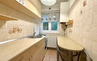 Apartament cu 3 camere în zona Gheorghe Lazăr - Dacia, pet friendly - Poză 18