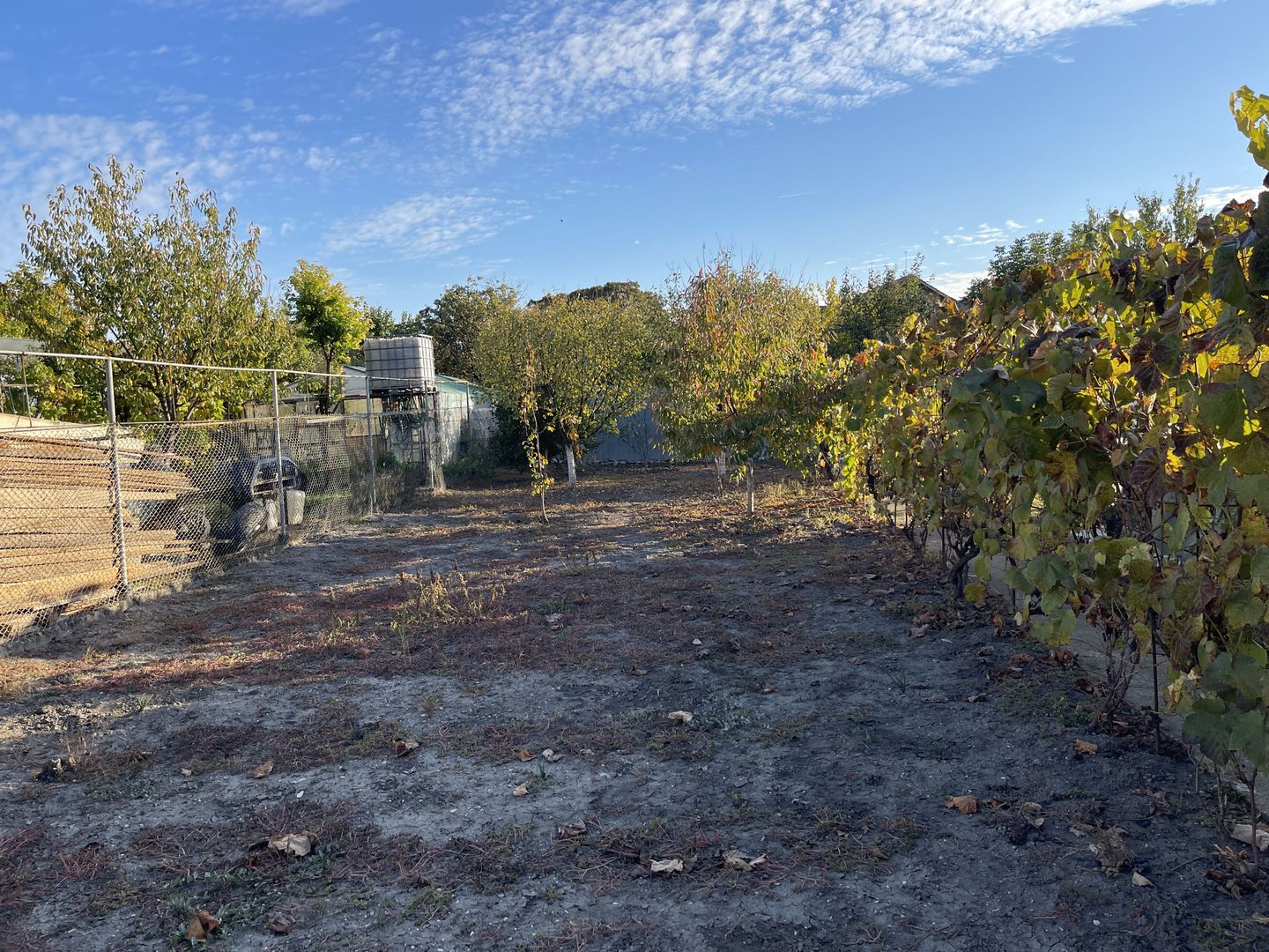 Teren ideal pentru constructie noua-800 mp cu front 22 ml - Poză 2