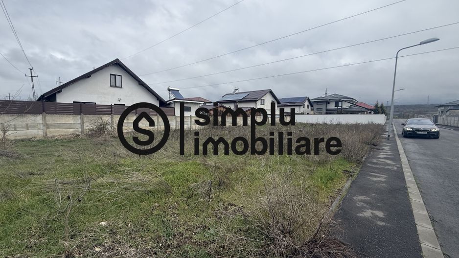 Teren 450 MP Bariera Valcii - Poză 3