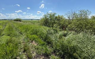 Teren extravilan de vânzare | Rădăuți | 4.000 mp - Poză 3