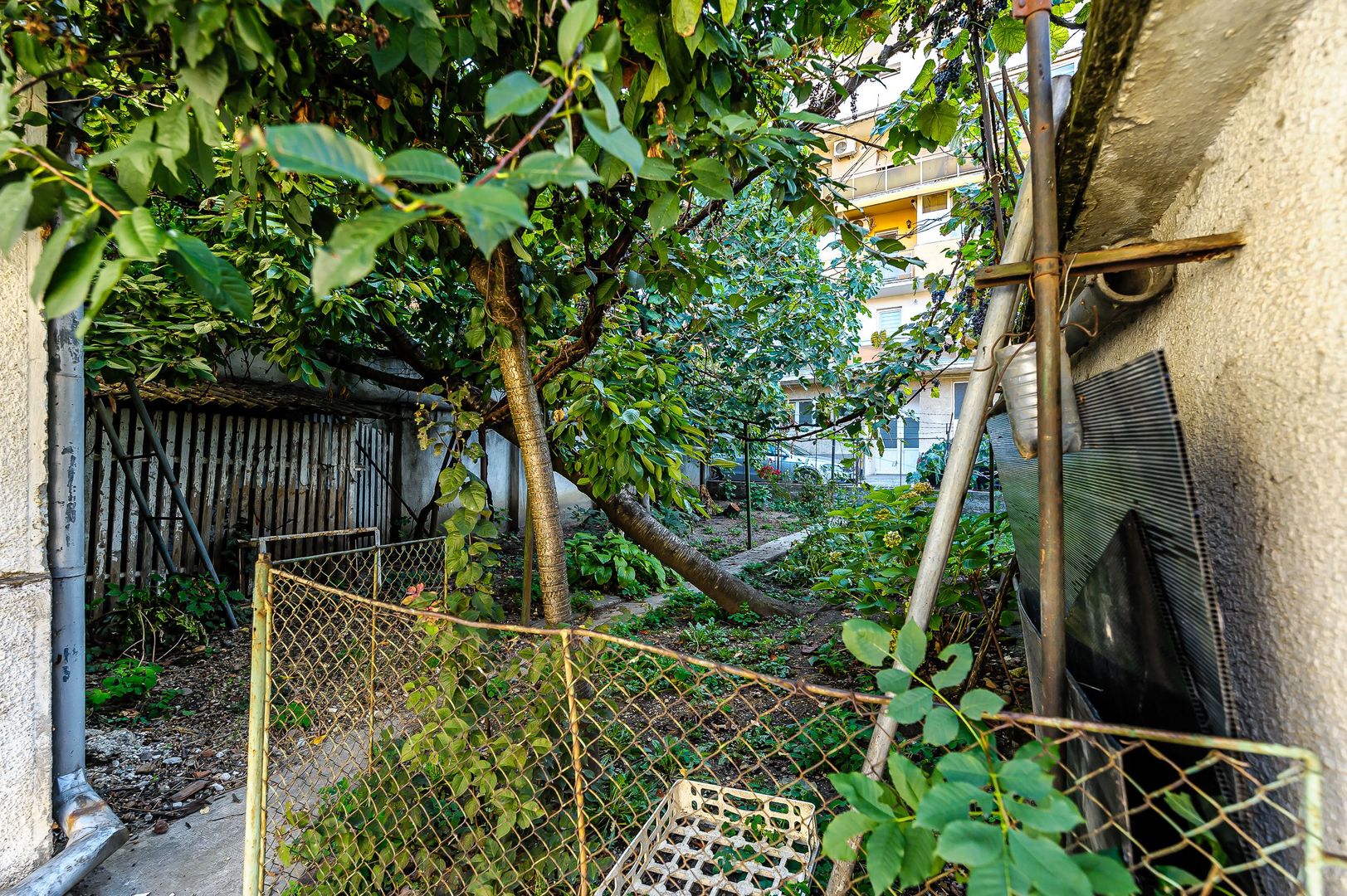 Casă cu 4 camere Augustin Doinaș - Poză 11