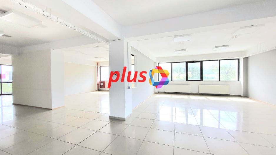 Spatiu comercial de inchiriat - 1.000 mp - Poză 2
