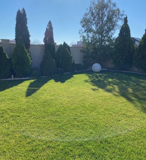 Casa individuala Dumbravita - Poză 64