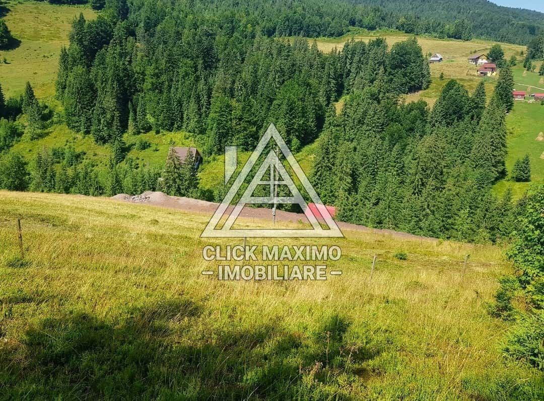 7130 mp TEREN INTRAVILAN ARIESENI-ALBA langa viitoarea partie de SCHI - Poză 2