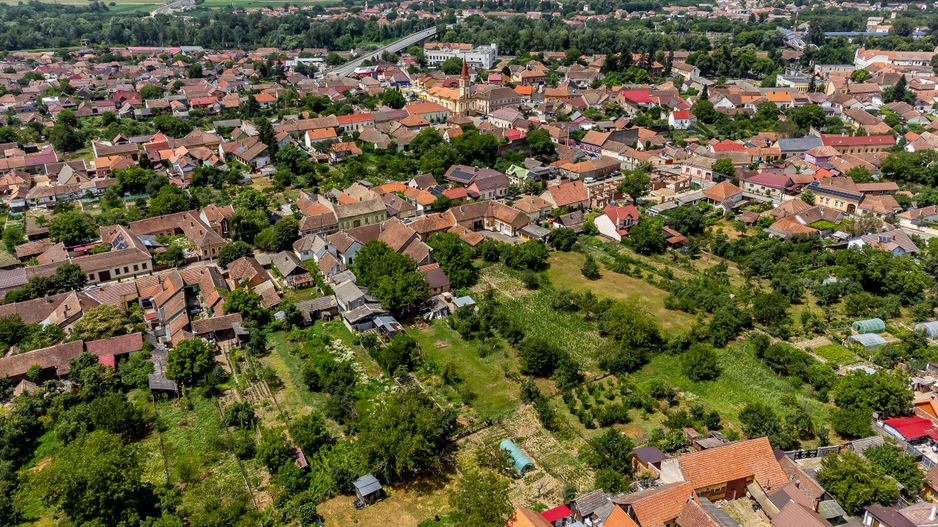 Proprietate Rezervata Casă boierească cu teren generos in Lipova - Poză 8