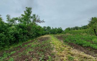 Casa | 1331 mp Teren | Miercurea Sibiului | - Poză 7