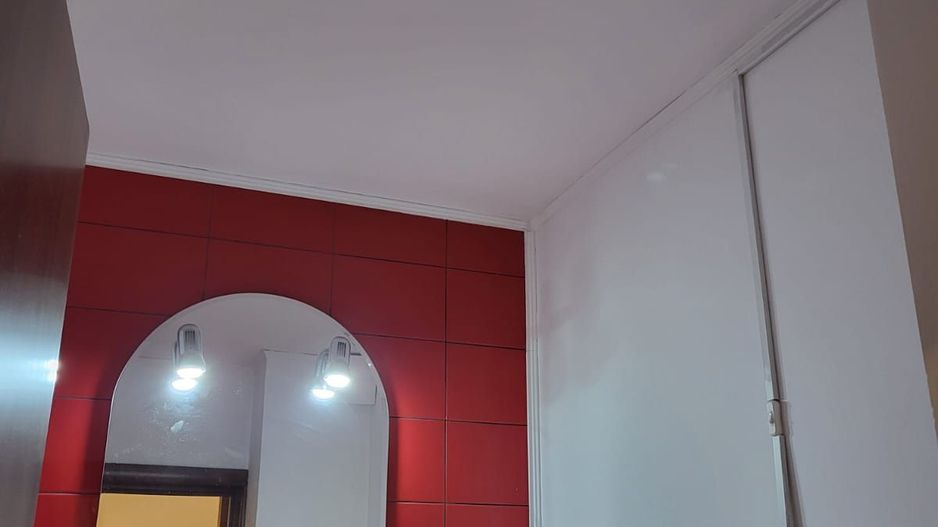 Vanzare Apartament Duplex 4 Camere Decebal - Poză 21