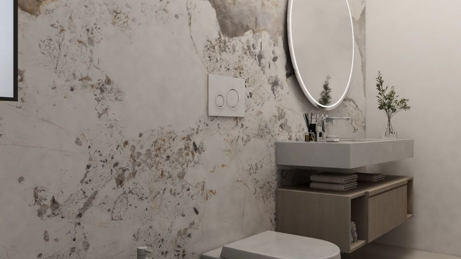 Duplex despartit prin garaj- Dumbravita - Poză 24