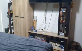 Apartament 3 camere satu mare micro 16 - Poză 6