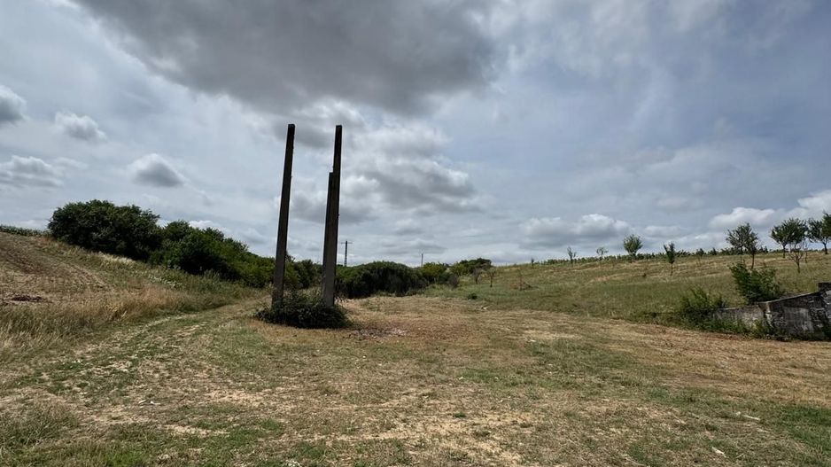 Teren Extravilan Biharia - Poză 3