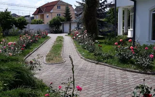 Reședință de lux cu potențial comercial –zonă Băi, Sângeorgiu de Mureș - Poză 14