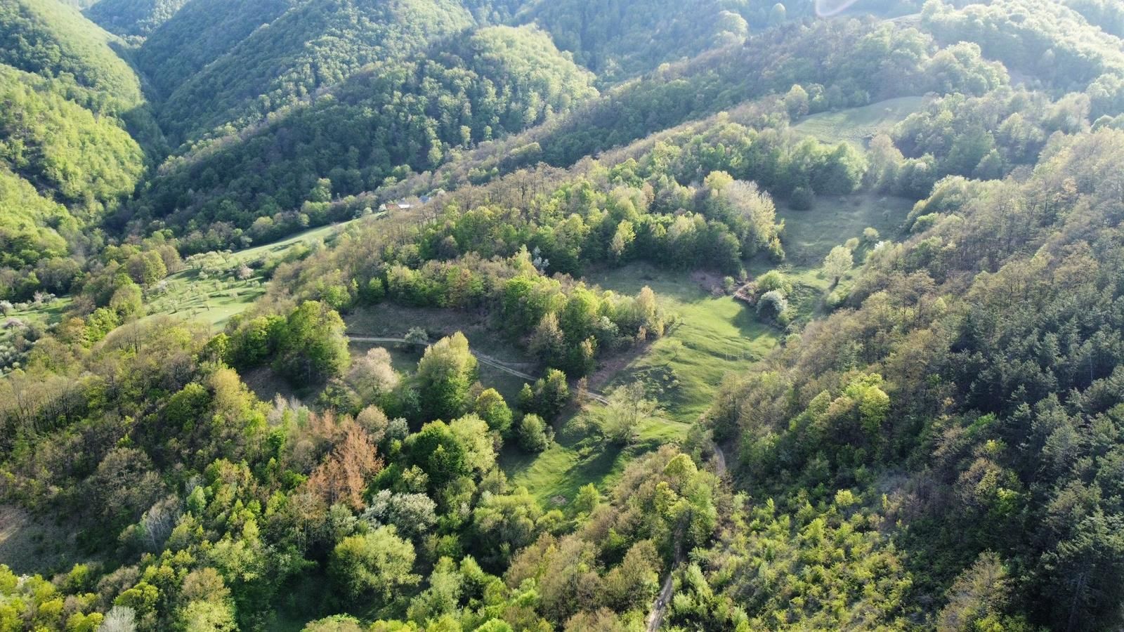 Vand teren in Poiana Ampoiului comuna Metes jud. Alba - Poză 1