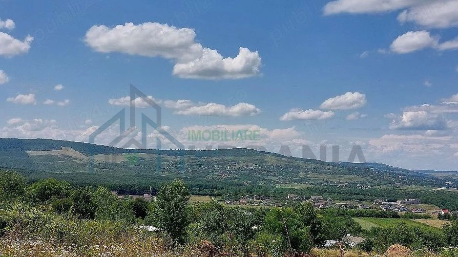 Teren intravilan, Curaturi, comuna Ciurea, 6310 mp - Poză 3