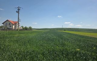 TEREN EXTRAVILAN | MITOCU DRAGOMIRNEI | 2.600 Mp - Poză 1
