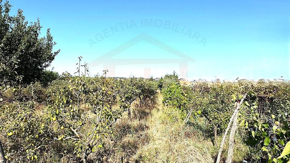 Cabana din lemn+ teren 2000 mp , 105.000 Euro negociabil, zona Metro - Poză 10