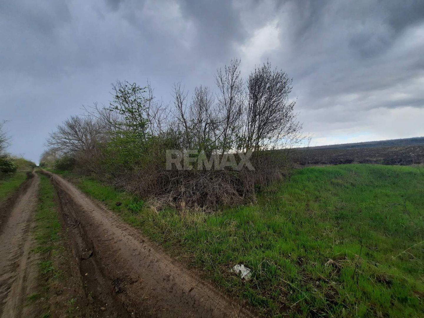 Teren agricol, Boșcana, 20 ari - Poză 1