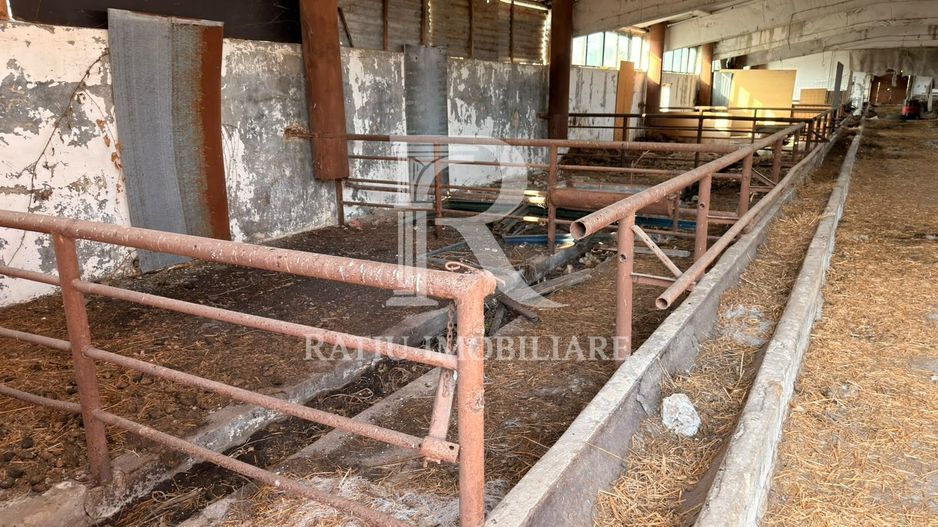 Fermă Sărand | Bihor | 25.659 mp teren intravilan - Poză 9