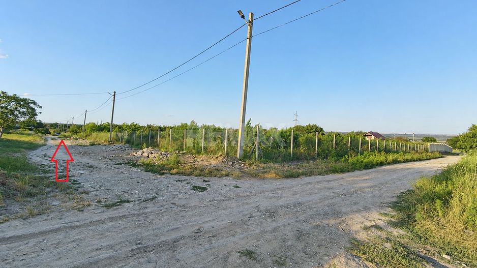 TEREN PENTRU CONSTRUCȚIE – 12 ARI | SPEIA- ANENII NOI - Poză 3