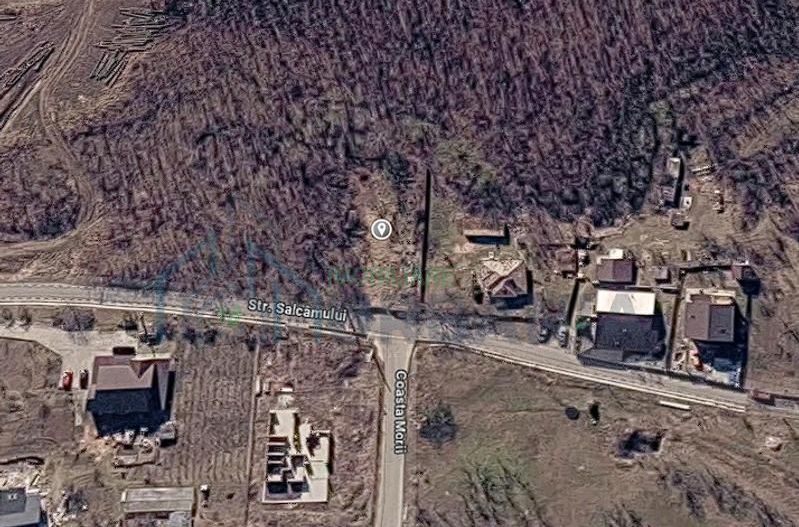 Teren intravilan 608 m2, Chicerea, comuna Tomești, județul Iași – la 20 minute de centrul municipiului Iași - Poză 3