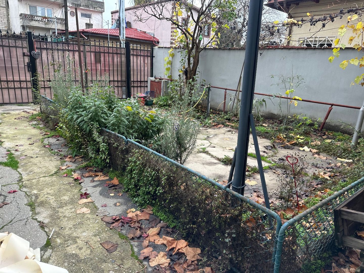 Inchiriere Casa-curte-1 Mai-Expozitiei - Poză 6