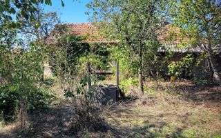 BRASADAS vinde casa in Moftinul Mare. - Poză 8