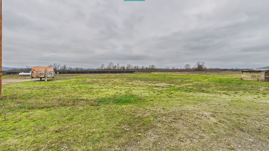 Hală de producție, cu birouri și teren, în Sebiș - Poză 61