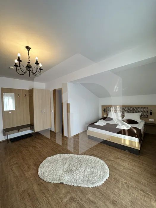 Pensiune de vanzare | Paltinis | 330mpu | 8 Camere | Functionala 100% - Poză 4