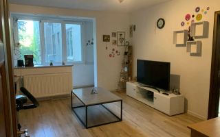 2 camere | Raul Doamnei | 52mp | etaj intermediar | Renovat | - Poză 1