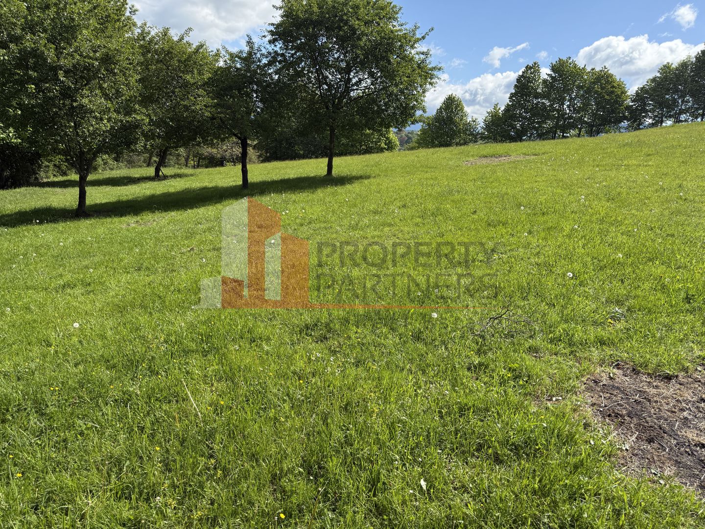 Teren Bran Sohodol 6700 mp - Poză 5