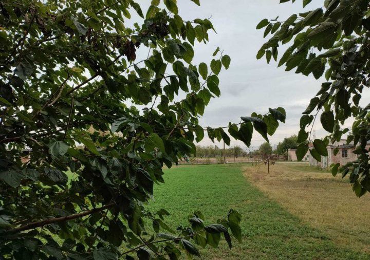 Apartament 2 camere terasă superbă Baneasa | Sisesti - Poză 2