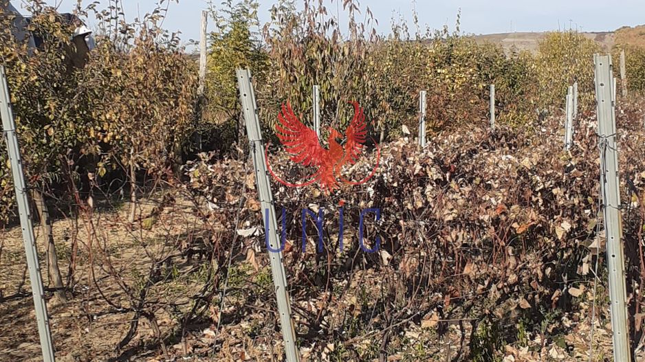 Casa Bradesti, teren 1239 mp - 29 995 Euro - Poză 4