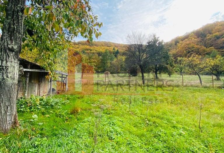 Casa + teren 1700 mp langa Padure Bran/ Predelut - Poză 3