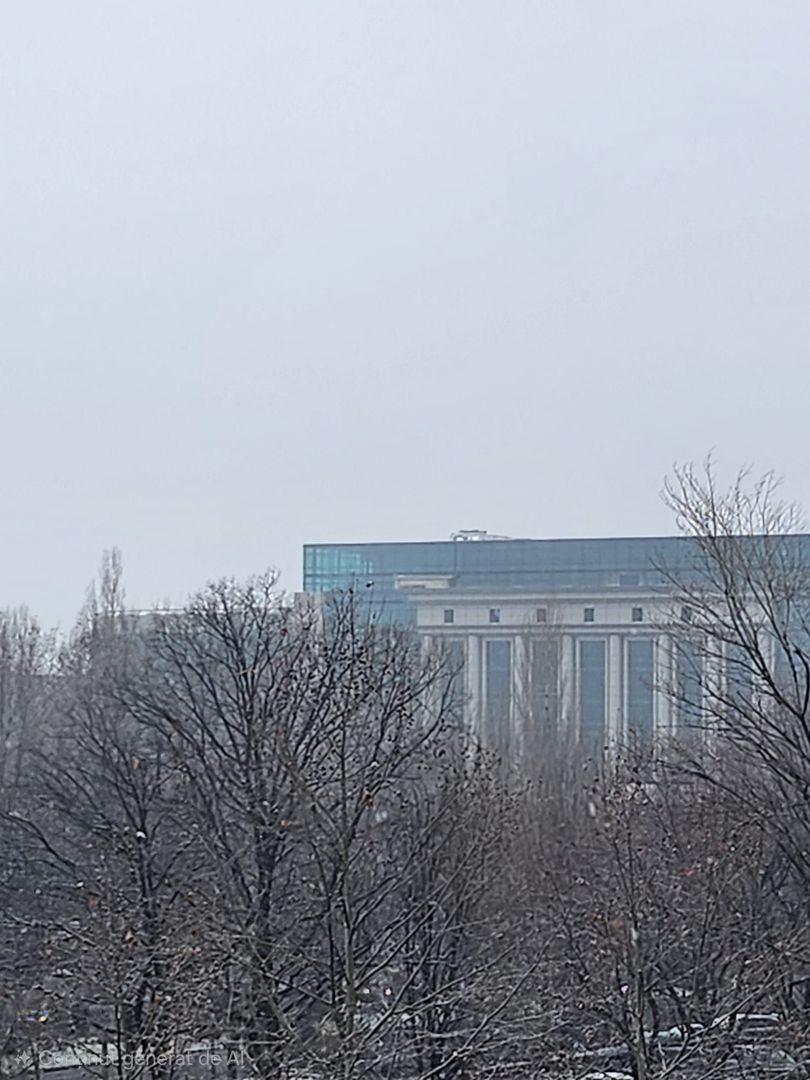 Vanzare Apartament 3 Camere Stradal Bd. Unirii - Poză 8