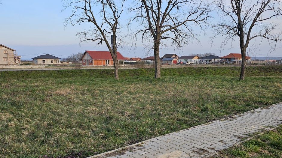 Teren 21600 mp in apropiere de Autostrada Transulvania - Poză 3