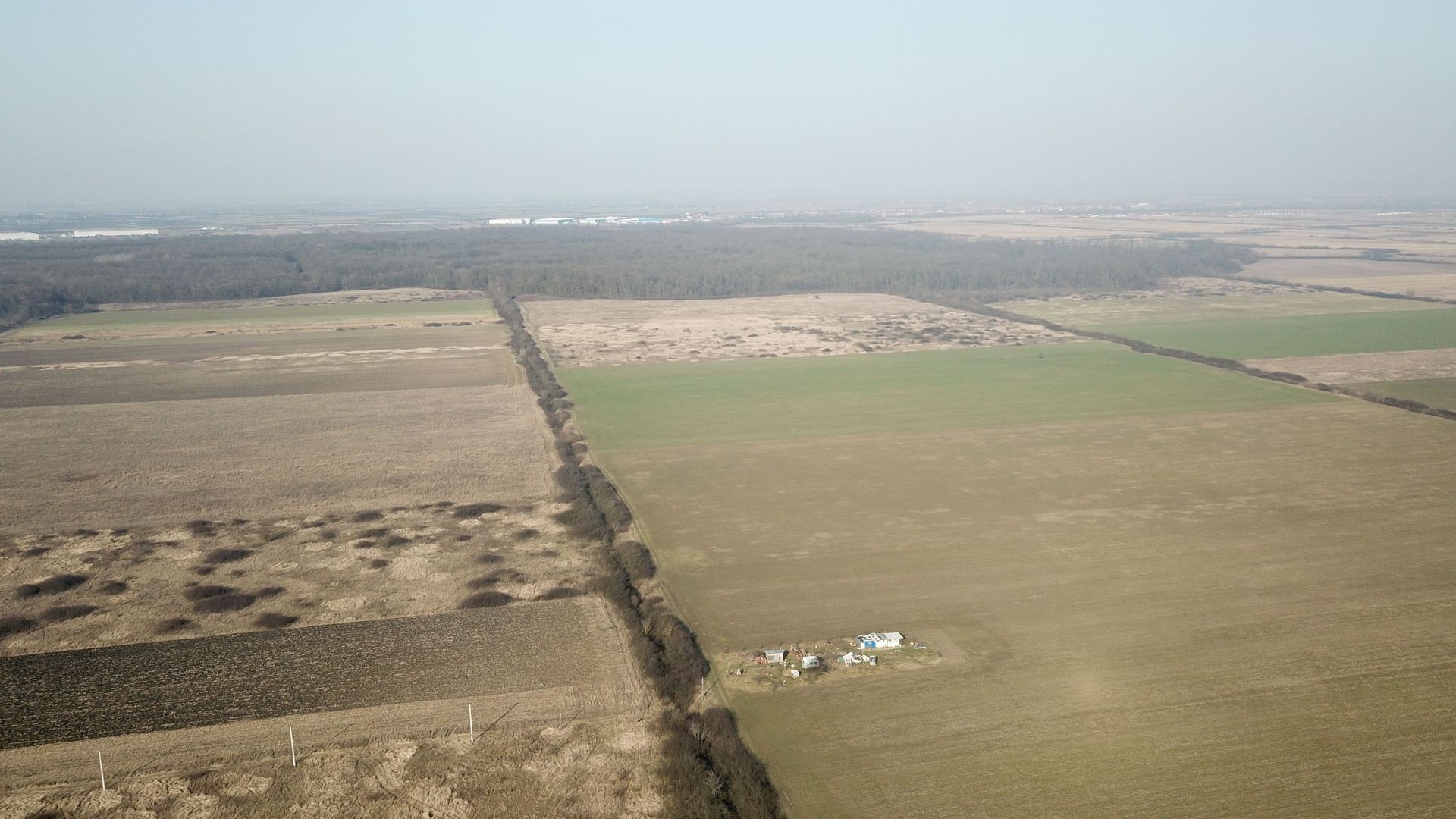 TERENURI CONSTRUCTII PADUREA BISTRA - Poză 1