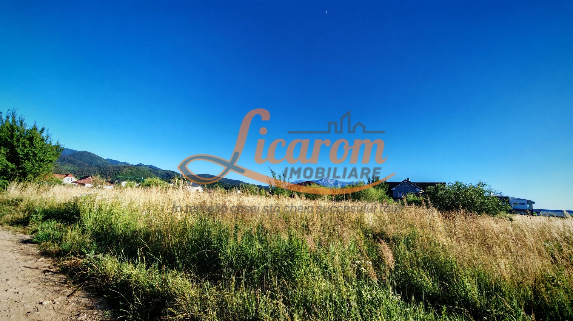 Teren intravilan 1000 mp pt construcții case Cristian str Nisipului - Poză 1