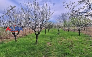 AZURA Imobiliare - Casa Prundu Bananai - Poză 3