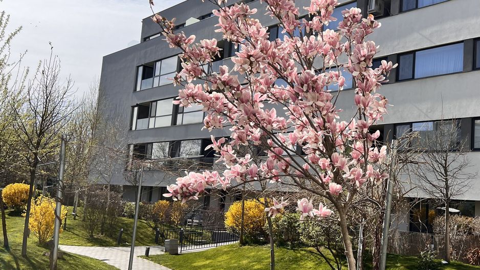 APARTAMENT 2 CAMERE | PROIECT NOU | PISCINA IN COMPLEX - Poză 12