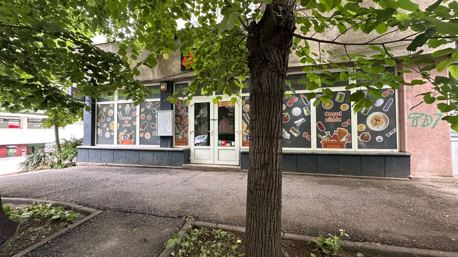 Spatiu comercial Calea Aradului - Poză 19