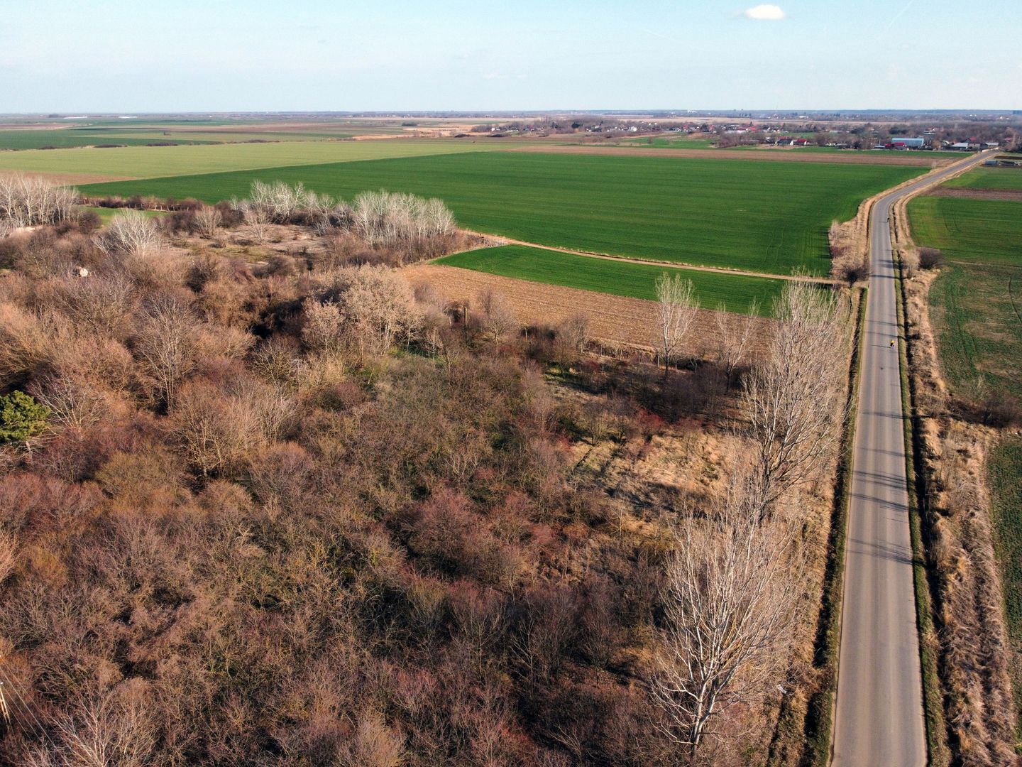 Ferma si livada de meri in judetul Ilfov - Poză 23