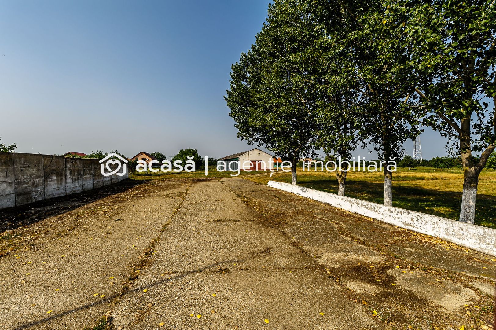 Fermă Mândruloc 2,5 ha - Poză 8